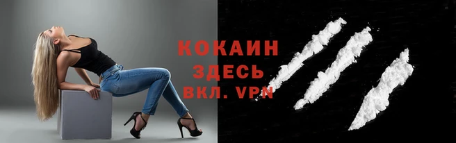 каннабис Новодвинск