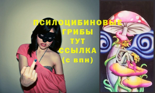 таблы Няндома