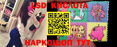 МДПВ Кингисепп