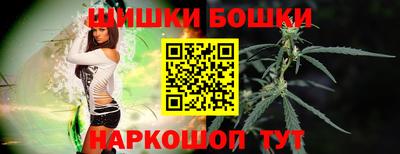 МДПВ Кингисепп