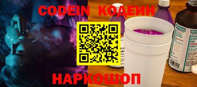 МДПВ Кингисепп