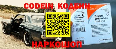 МДПВ Кингисепп