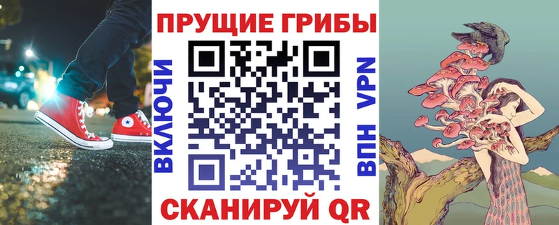 купить закладку Саранск Галлюциногенные грибы Cubensis